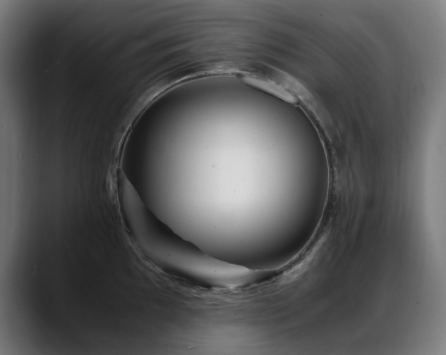 X0000088661097200705251517