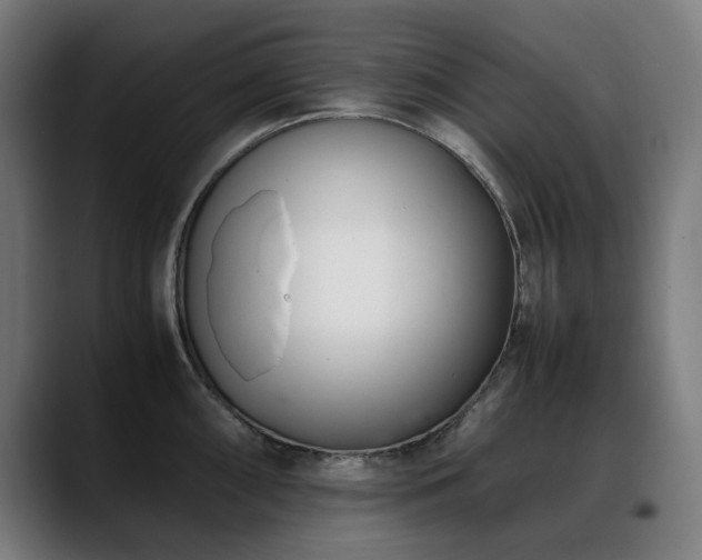 X0000088661098200705251517