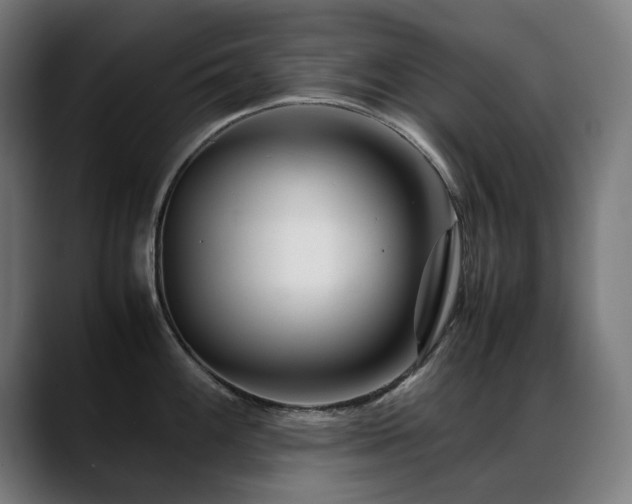 X0000088661100200705251517