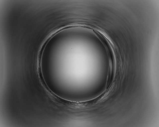 X0000088661101200705251517