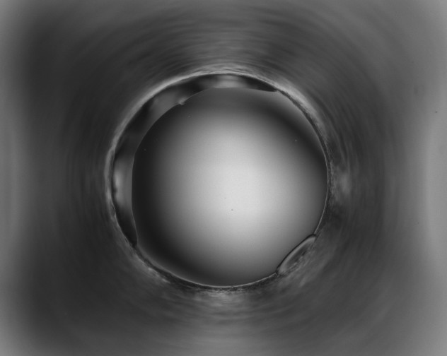 X0000088661102200705251517