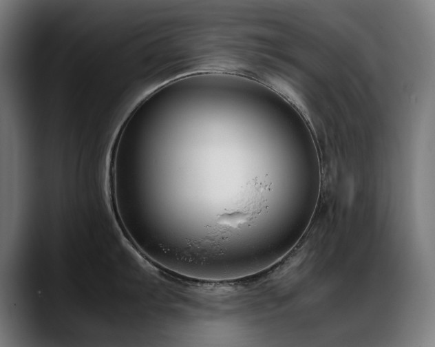 X0000088661103200705251517