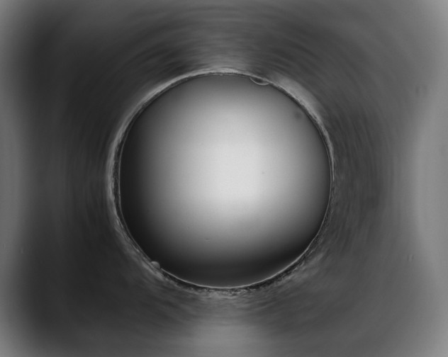 X0000088661104200705251517