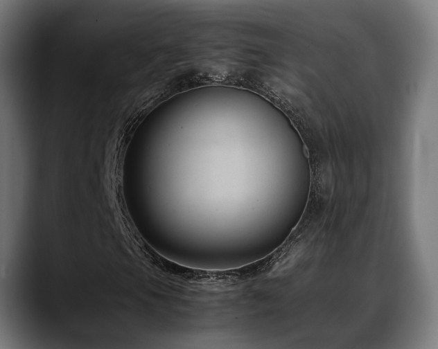 X0000088661105200705251516