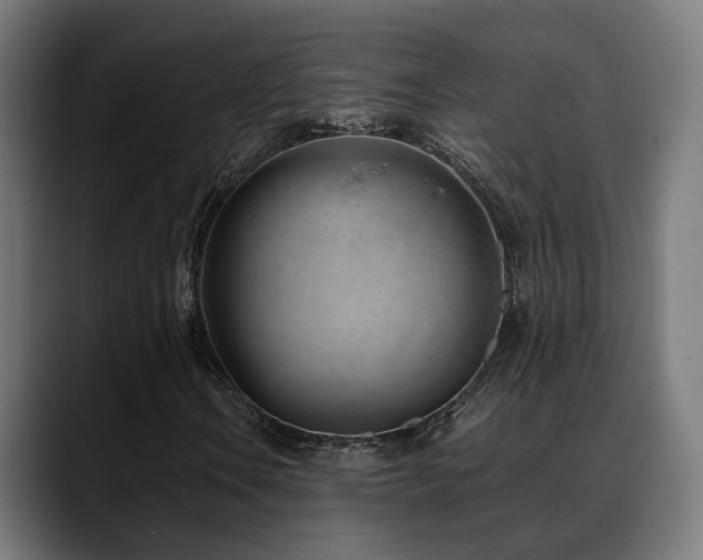 X0000088661106200705251516