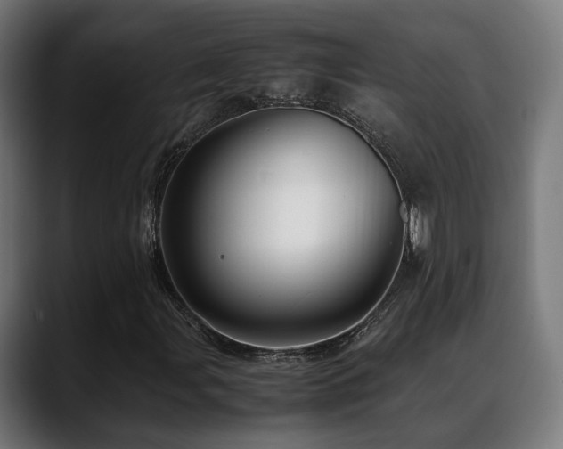 X0000088661107200705251516