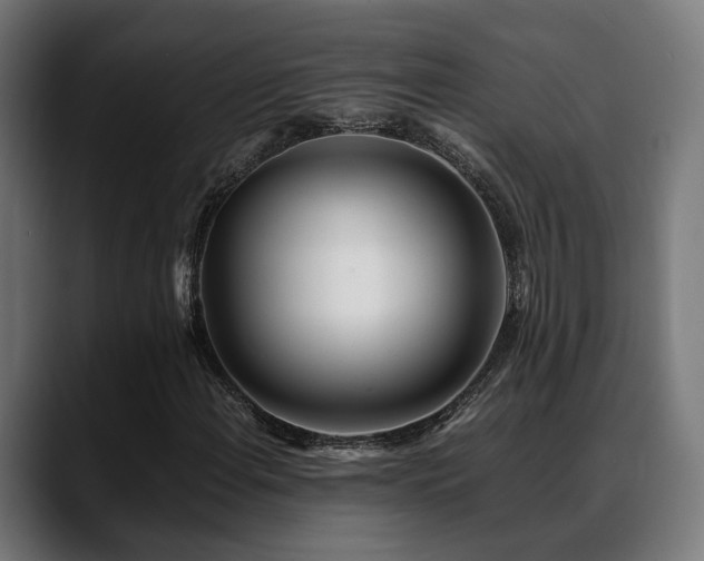 X0000088661108200705251516