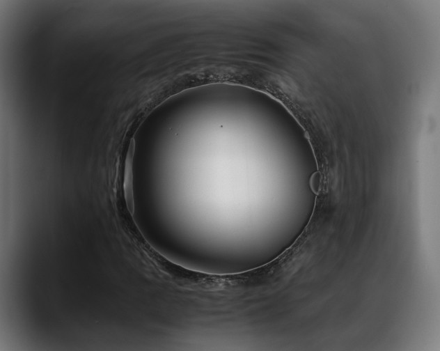 X0000088661109200705251516