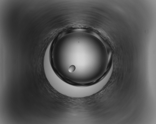 X0000088661110200705251516