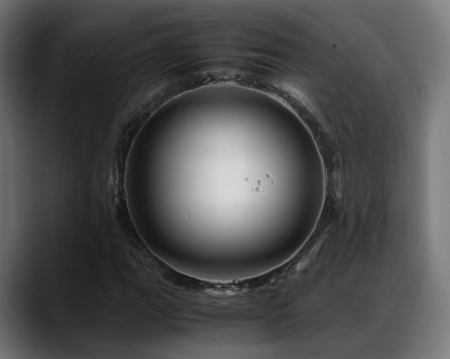 X0000088661111200705251516