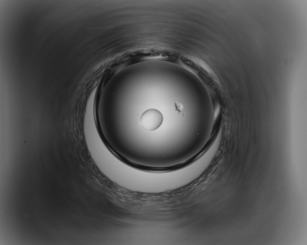 X0000088661112200705251516