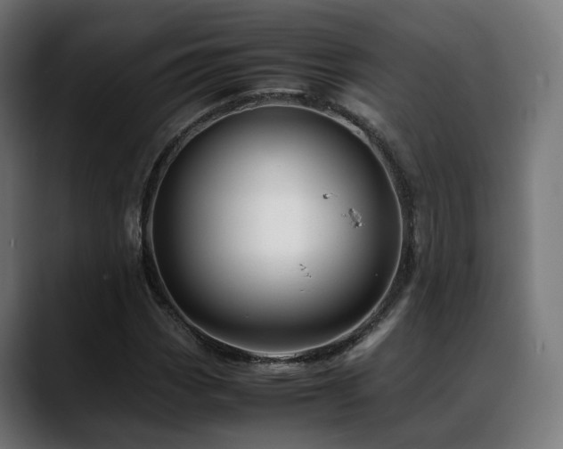 X0000088661113200705251516