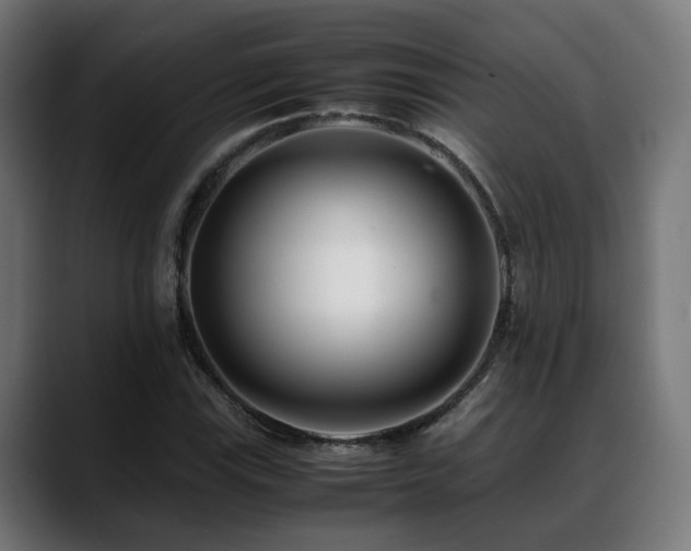 X0000088661115200705251517