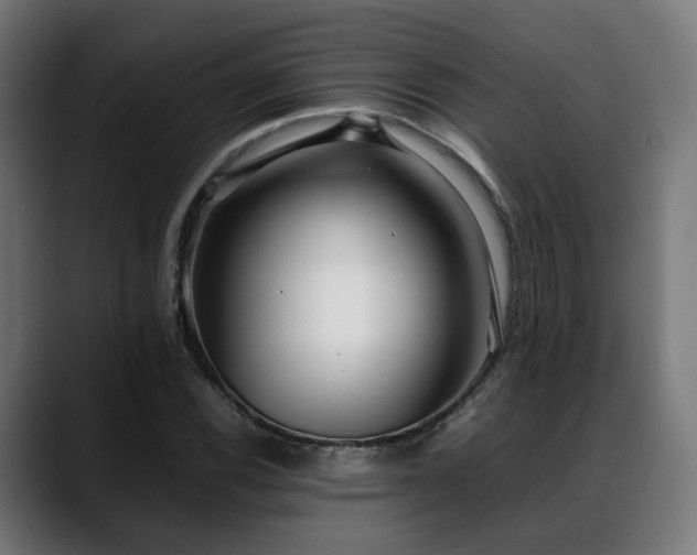 X0000088661116200705251517