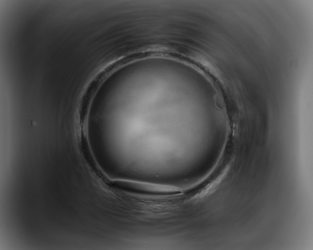 X0000088661117200705251517