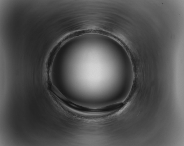 X0000088661118200705251517