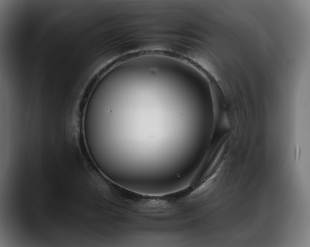 X0000088661119200705251517