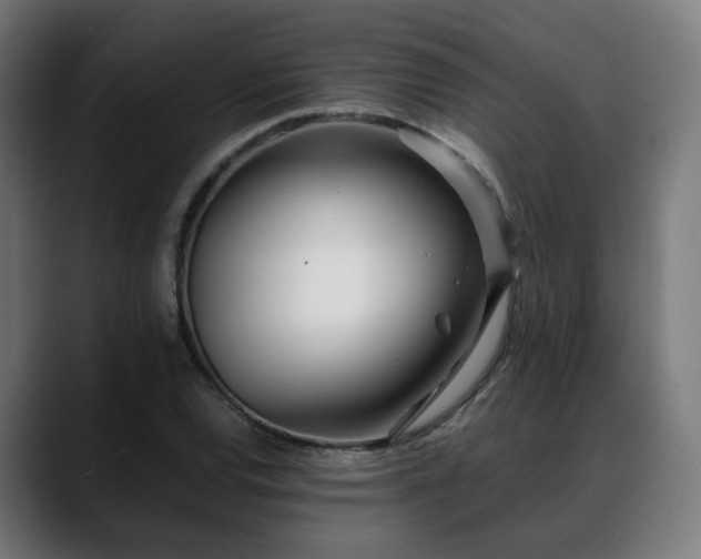 X0000088661120200705251517