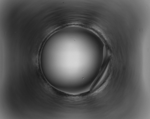 X0000088661121200705251517