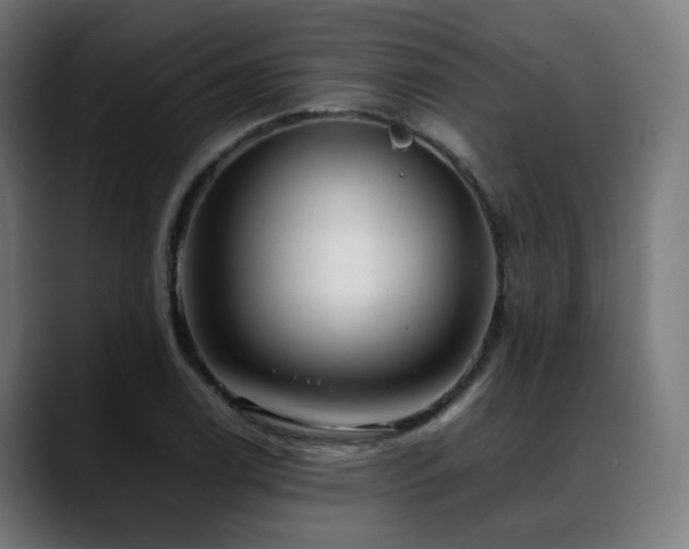 X0000088661122200705251517