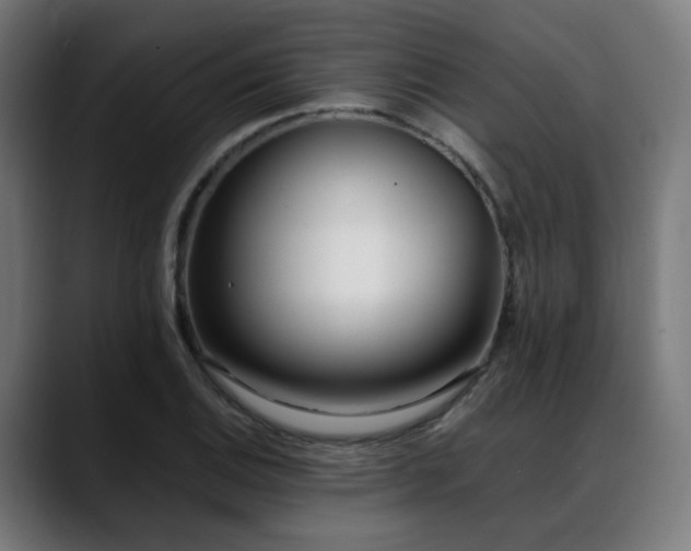 X0000088661124200705251517