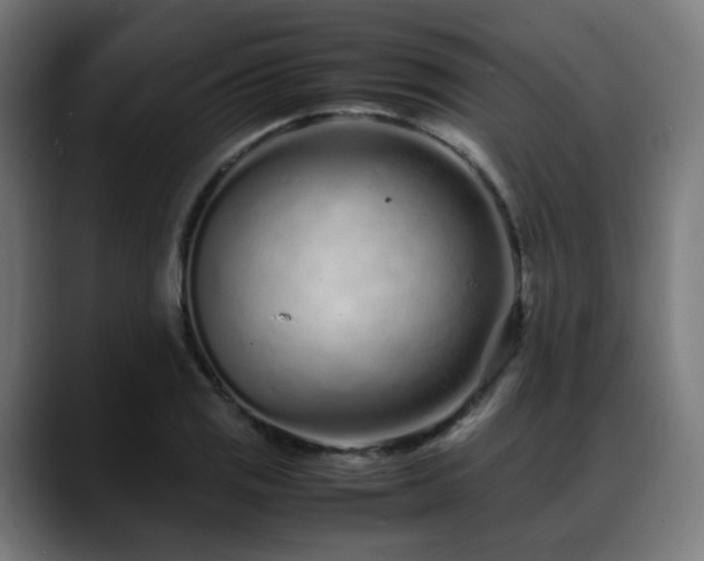 X0000088661125200705251517