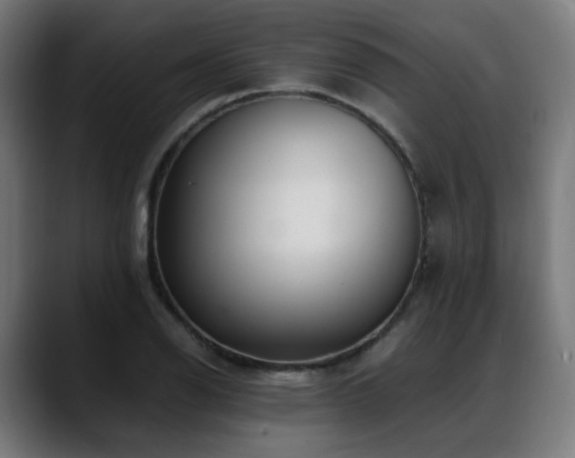 X0000088661126200705251517