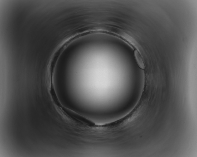 X0000088661127200705251517