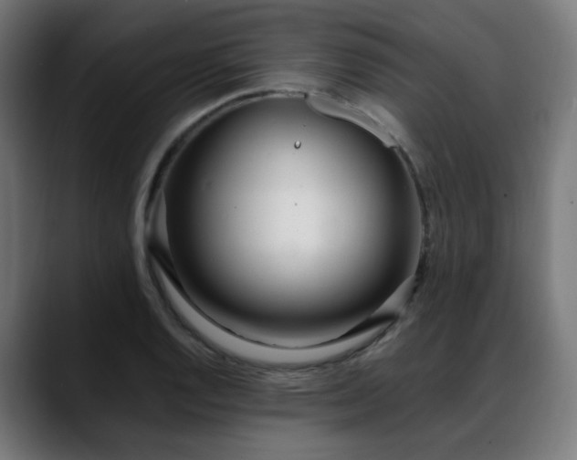 X0000088661128200705251517