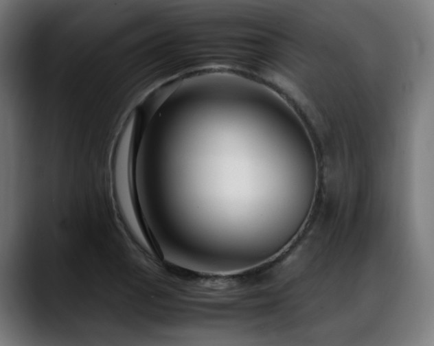 X0000088661129200705251517