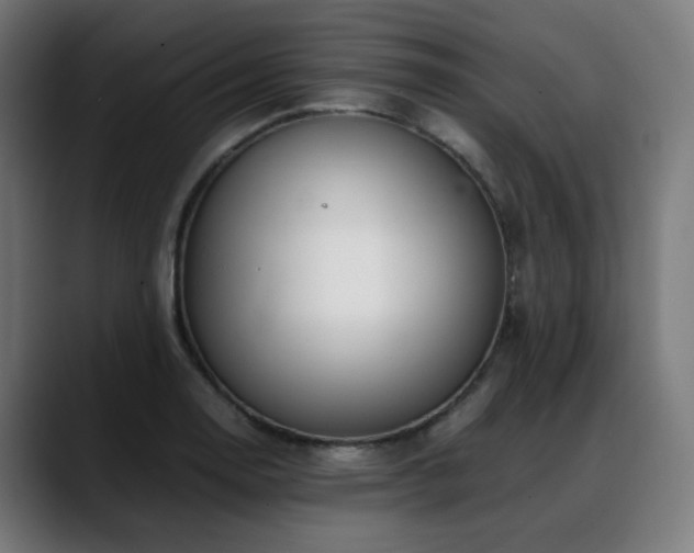 X0000088661130200705251517