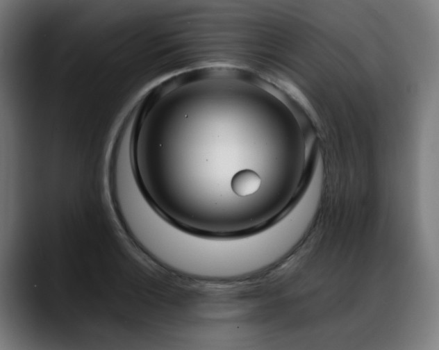 X0000088661132200705251517