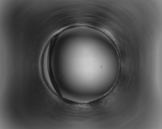 X0000088661133200705251517