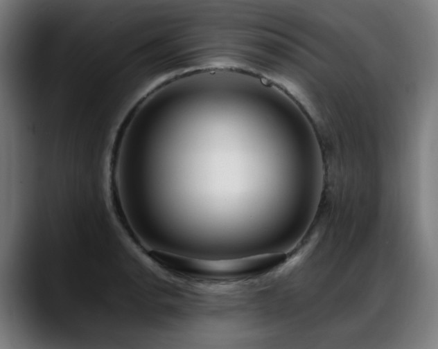 X0000088661134200705251517