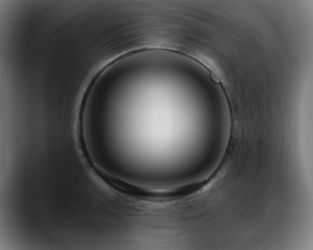 X0000088661136200705251517