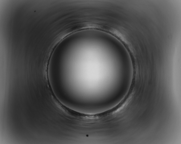 X0000088661137200705251517