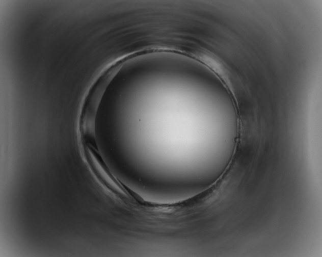 X0000088661141200705251517