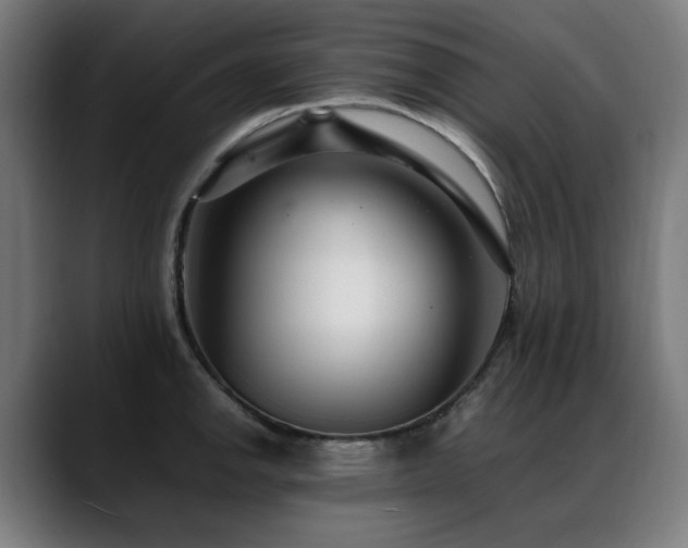 X0000088661142200705251517