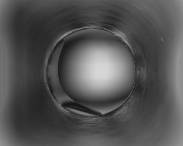 X0000088661143200705251517