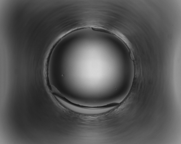 X0000088661144200705251517