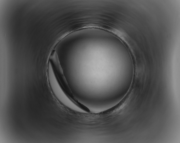 X0000088661145200705251517