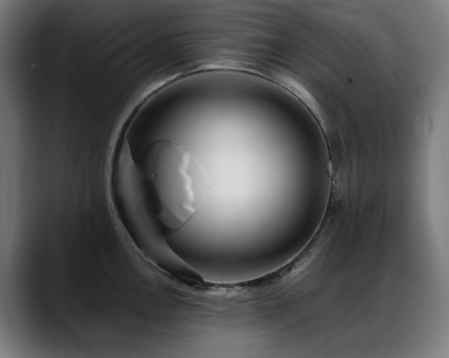 X0000088661146200705251517