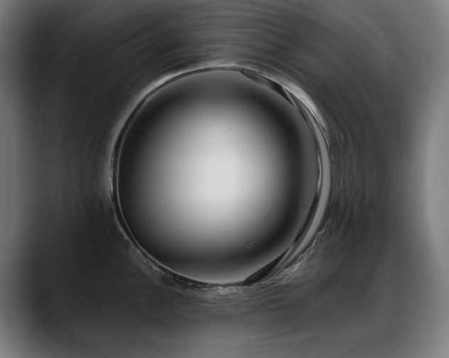 X0000088661148200705251517