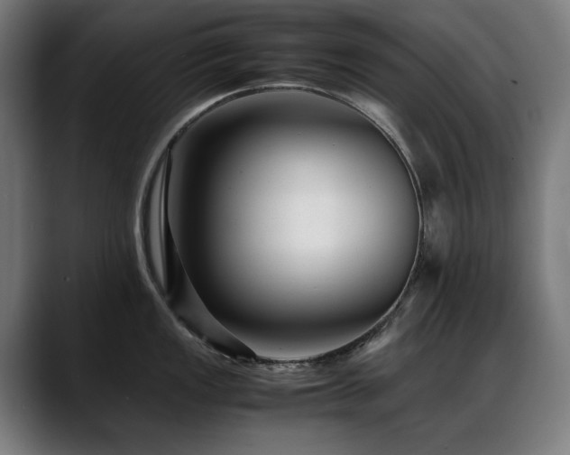 X0000088661149200705251517