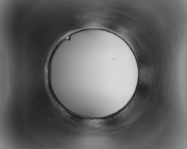 X0000088661150200705251517