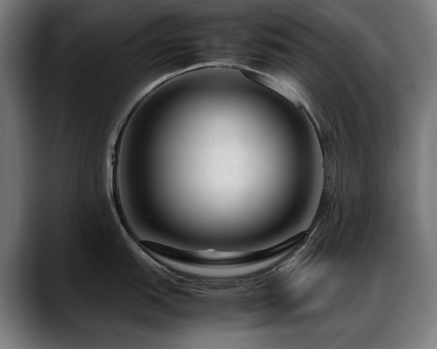 X0000088661151200705251517