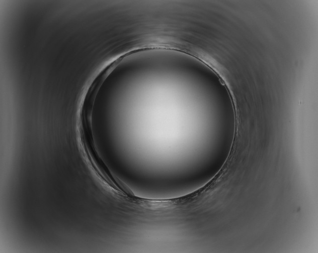 X0000088661152200705251517