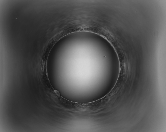 X0000088661158200705251516