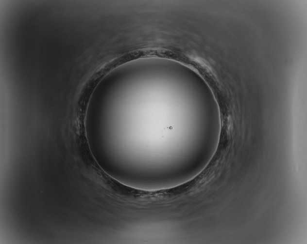 X0000088661159200705251516