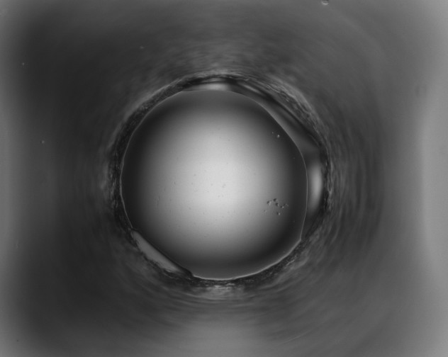 X0000088661160200705251516